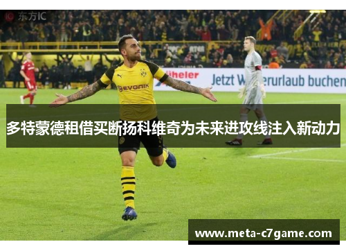 多特蒙德租借买断扬科维奇为未来进攻线注入新动力